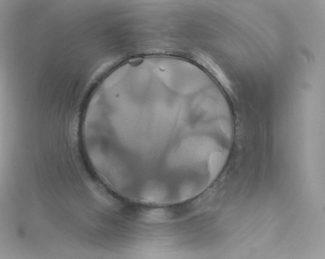 X0000115330058200911231420