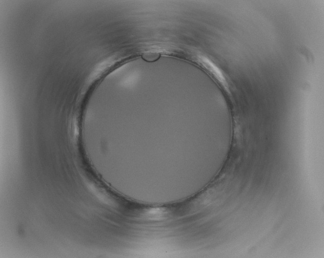 X0000115330059200911231420