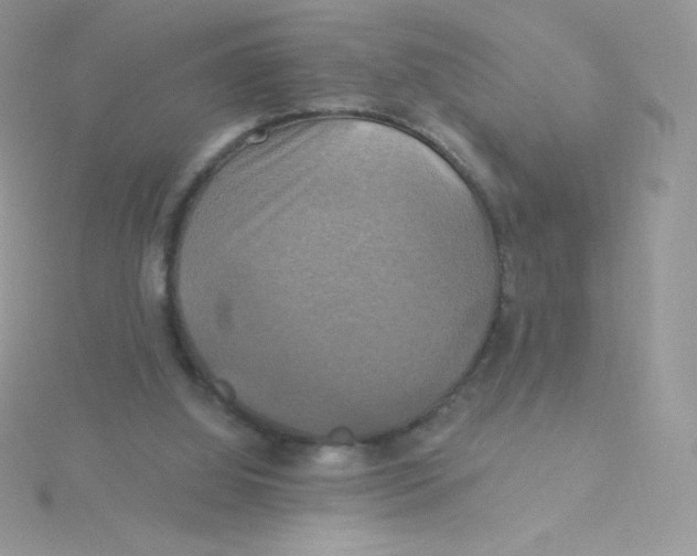 X0000115330060200911231420