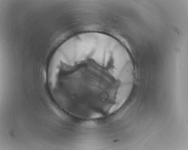 X0000115330061200911231420