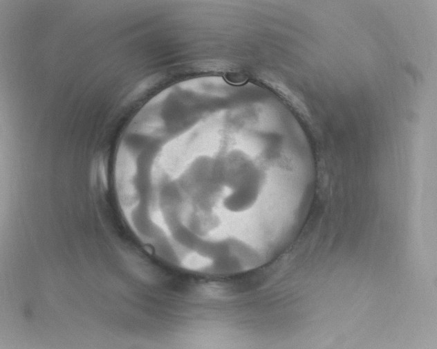 X0000115330062200911231420