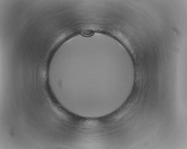 X0000115330063200911231420