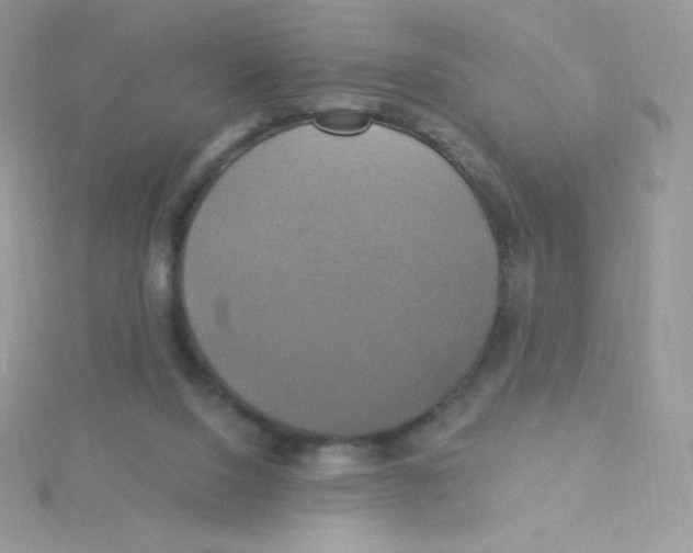 X0000115330064200911231420