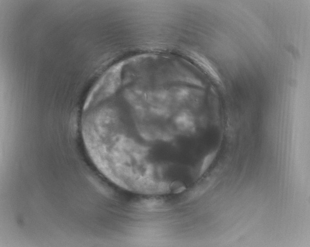 X0000115330065200911231420