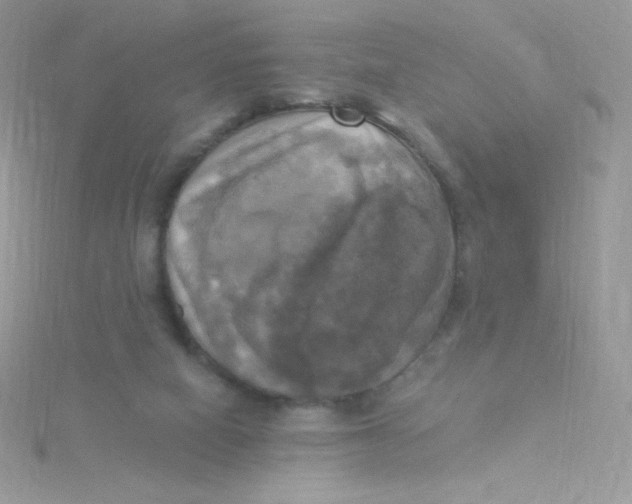 X0000115330066200911231420