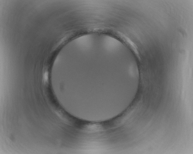 X0000115330067200911231420