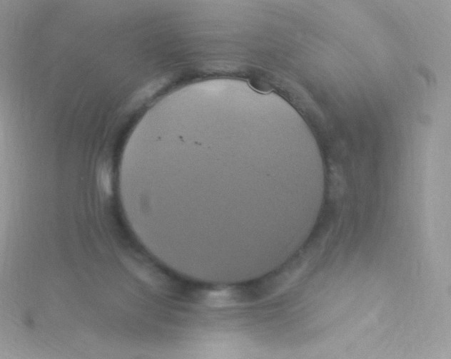 X0000115330068200911231420