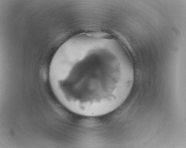 X0000115330069200911231420