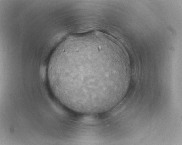 X0000115330070200911231420