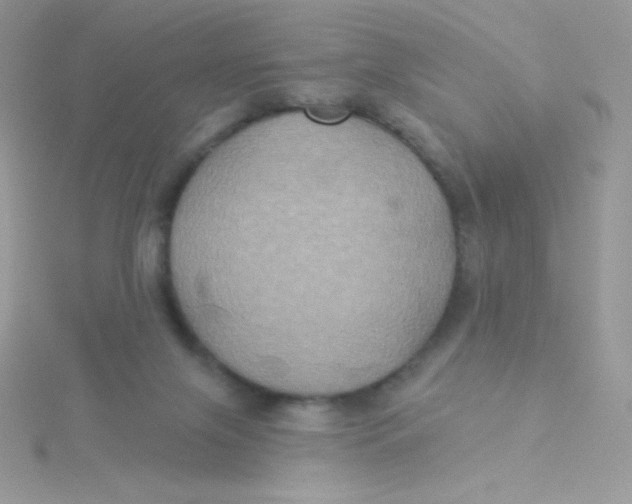 X0000115330071200911231420