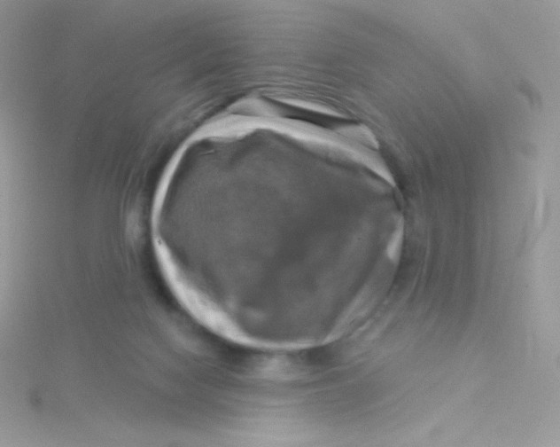 X0000115330074200911231420