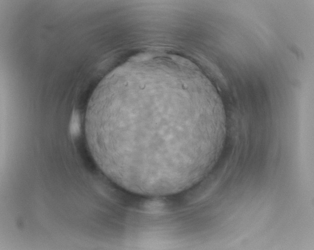 X0000115330075200911231420