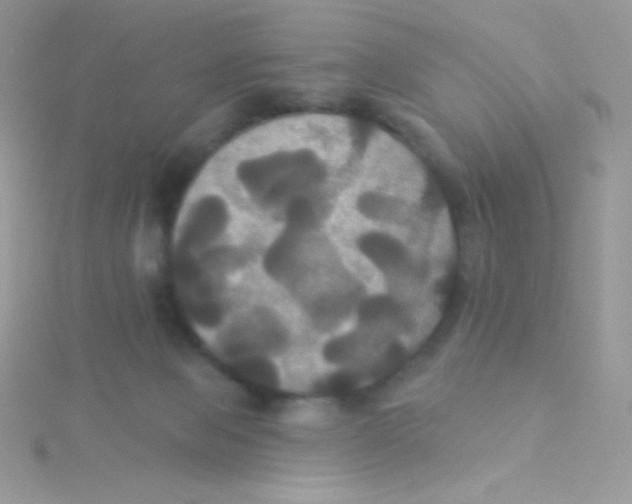 X0000115330077200911231420