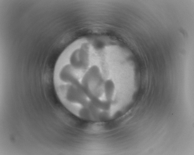 X0000115330078200911231420