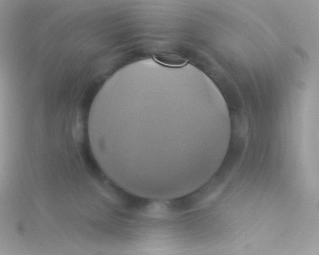 X0000115330080200911231420