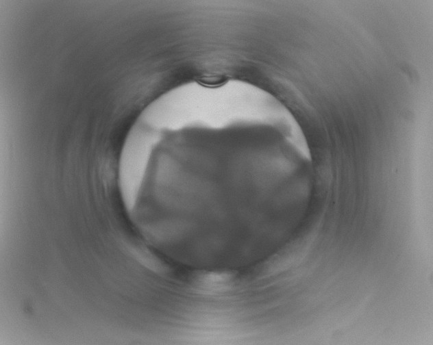 X0000115330081200911231421