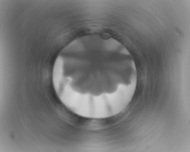 X0000115330082200911231421