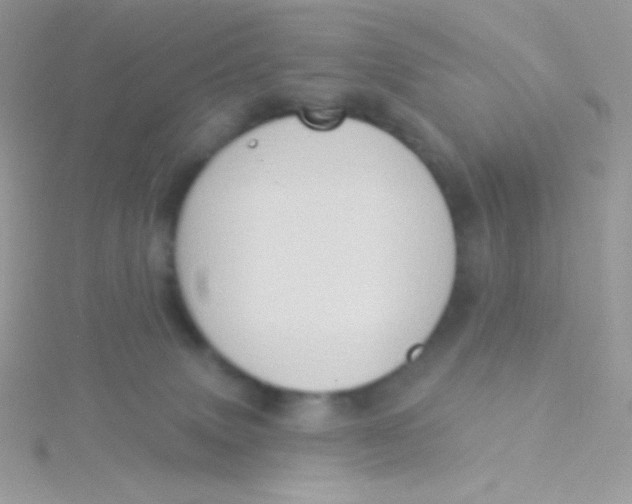 X0000115330083200911231421