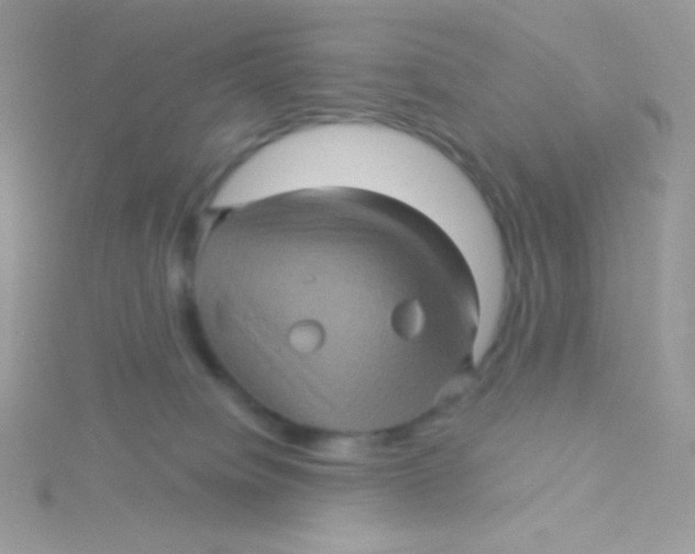 X0000115330084200911231421