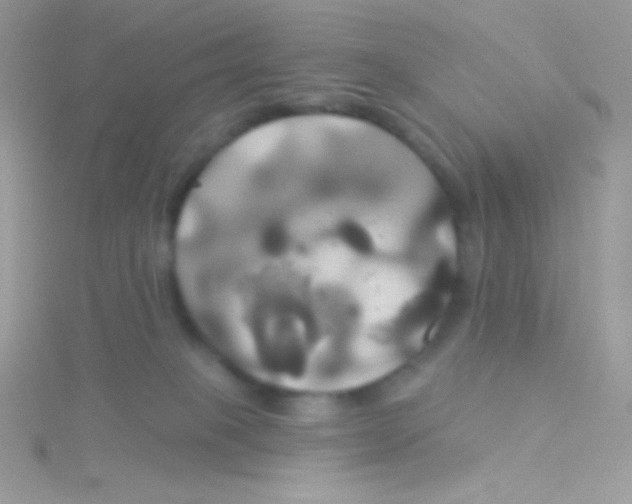 X0000115330085200911231421