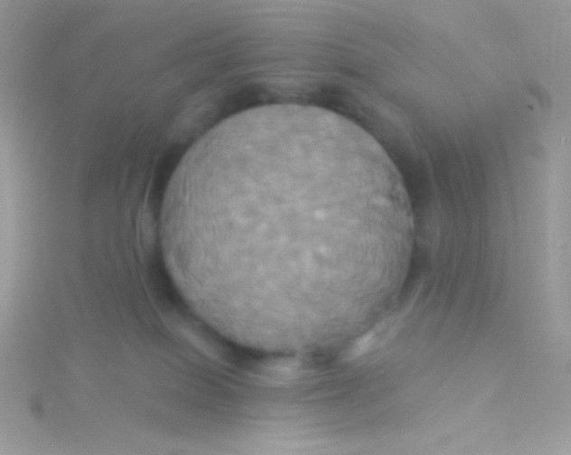 X0000115330086200911231421