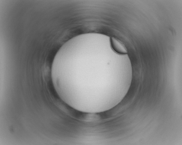 X0000115330087200911231421