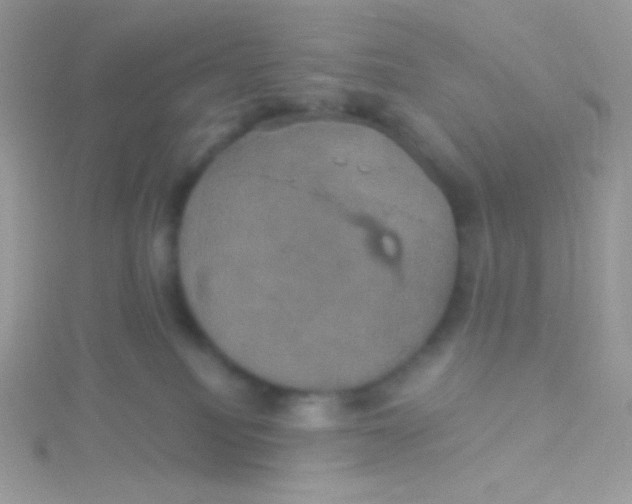 X0000115330088200911231421