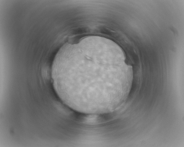 X0000115330090200911231421