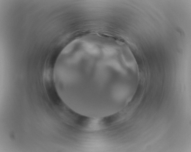 X0000115330093200911231421