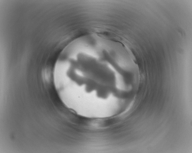 X0000115330094200911231421