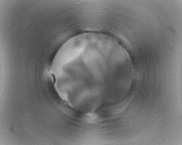 X0000115330095200911231421