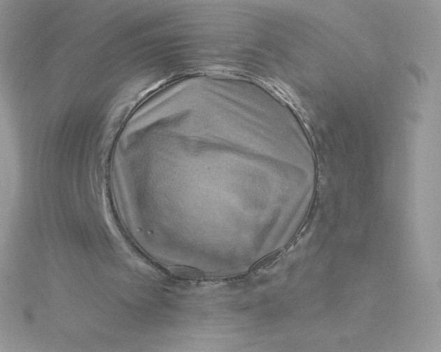 X0000115330097200911231420