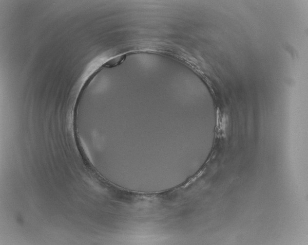 X0000115330099200911231420