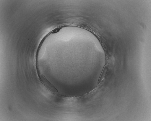 X0000115330100200911231420