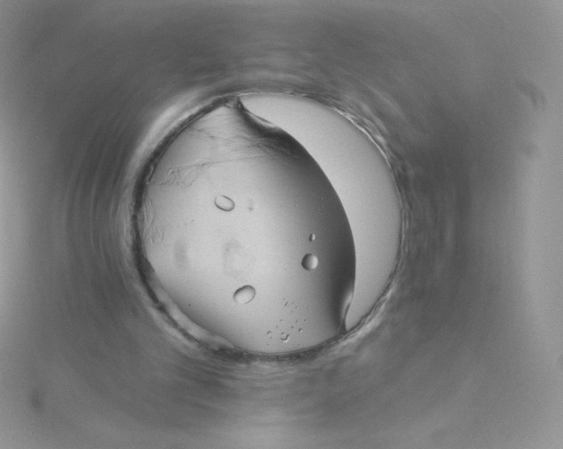 X0000115330101200911231420