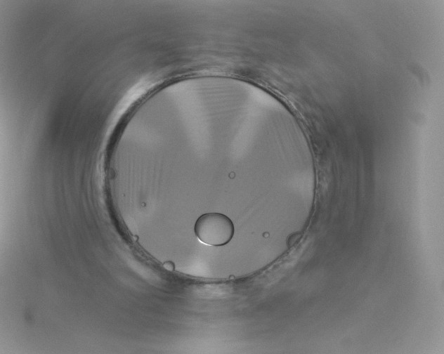 X0000115330102200911231420