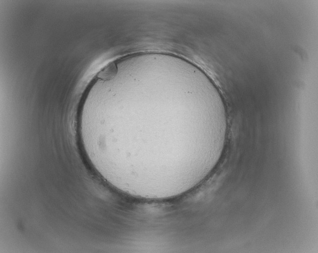 X0000115330103200911231420