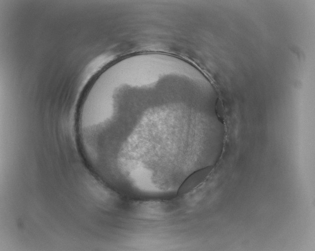 X0000115330104200911231420