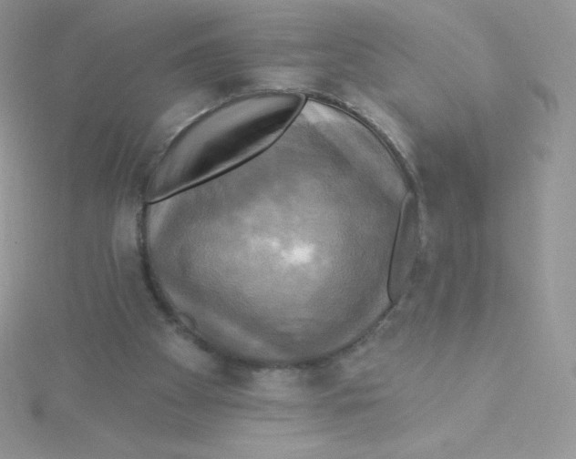 X0000115330105200911231420