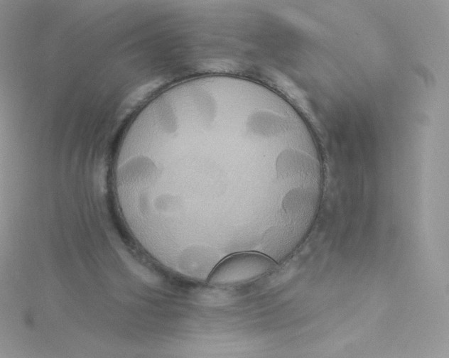 X0000115330106200911231420