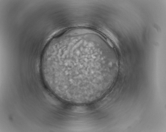 X0000115330107200911231420