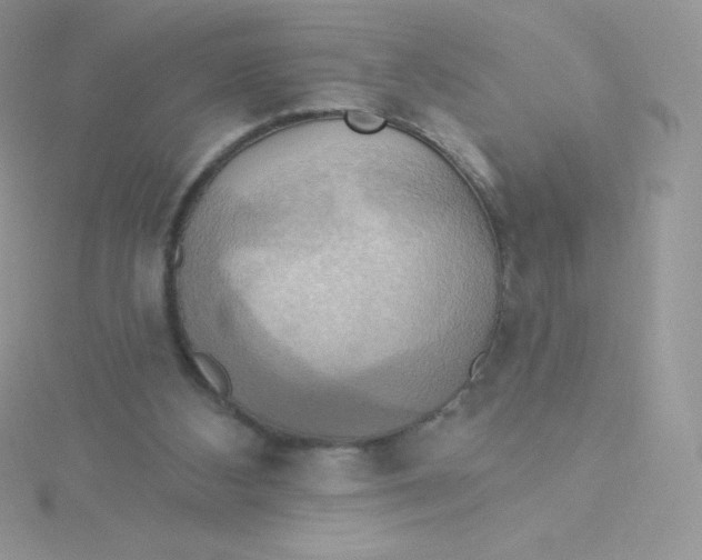 X0000115330108200911231420