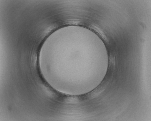 X0000115330110200911231420