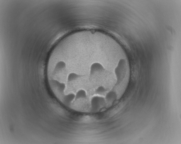 X0000115330111200911231420