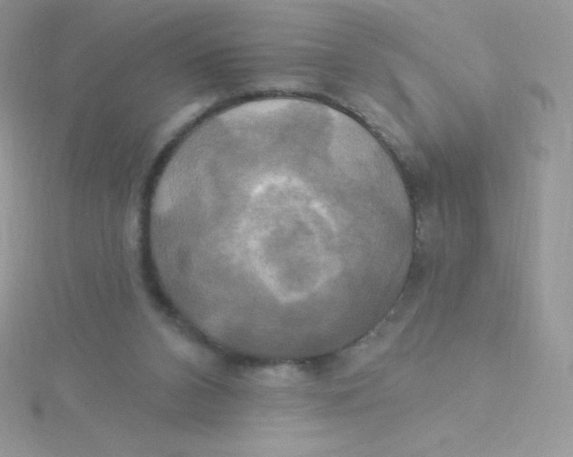 X0000115330112200911231420