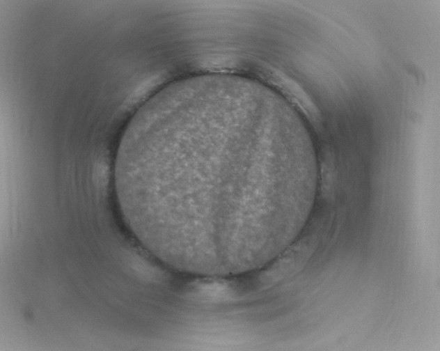 X0000115330113200911231420