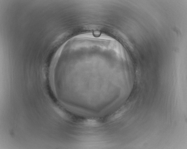 X0000115330114200911231420