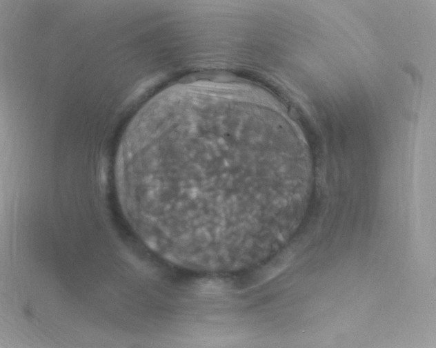 X0000115330115200911231420