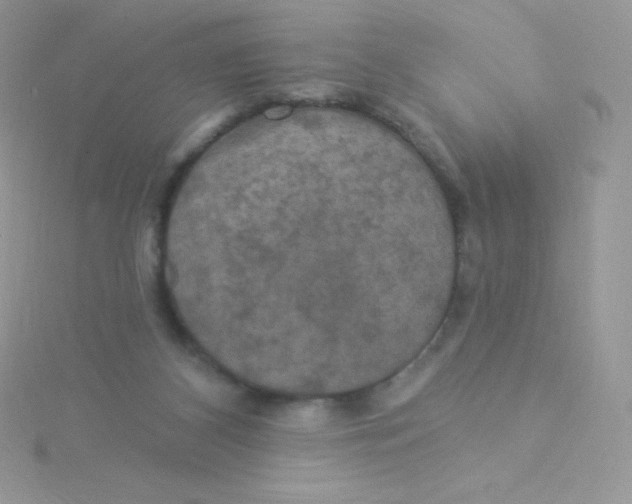 X0000115330116200911231420