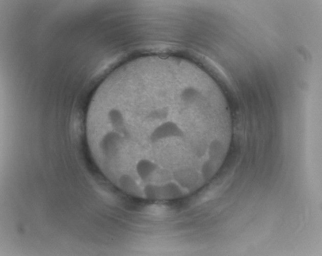 X0000115330119200911231420